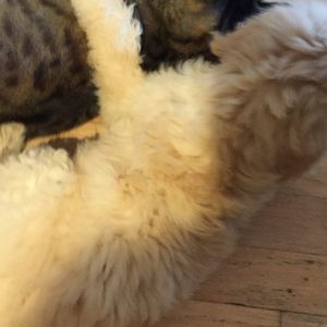 Meet your Posher, Terrybarbara